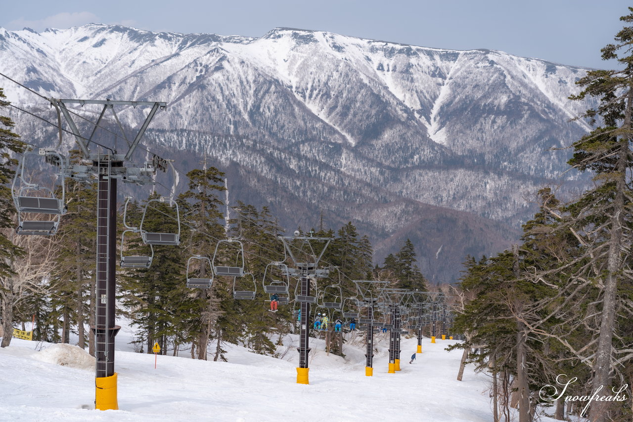 大雪山層雲峡・黒岳ロープウェイスキー場　本日の積雪 310cm。神々の遊ぶ庭でのんびり春スキー＆スノーボードを楽しみましょう♪
